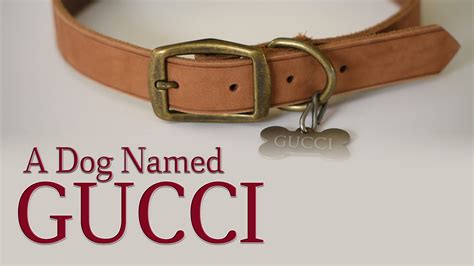 a dog named gucci|gucci keyring dog.